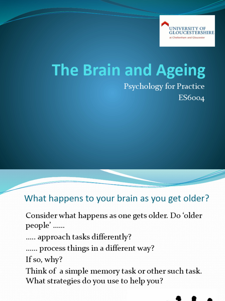 ES6004 The Brain and Ageing 2023 | PDF | Dementia | Alzheimer's Disease