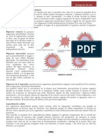 Unidad 5 Pluricelulares