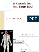 Struktur anatomis dan fungsional sistem Syaraf Pusat (SSP 1)
