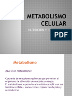 Metabolismo, Nutrición y Respiración Celular
