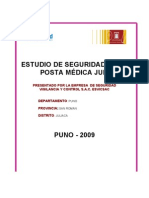 Estudio Seguridad Juli 2008