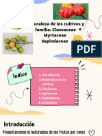 Naturaleza de Los Cultivos y Familia Cluseaceae