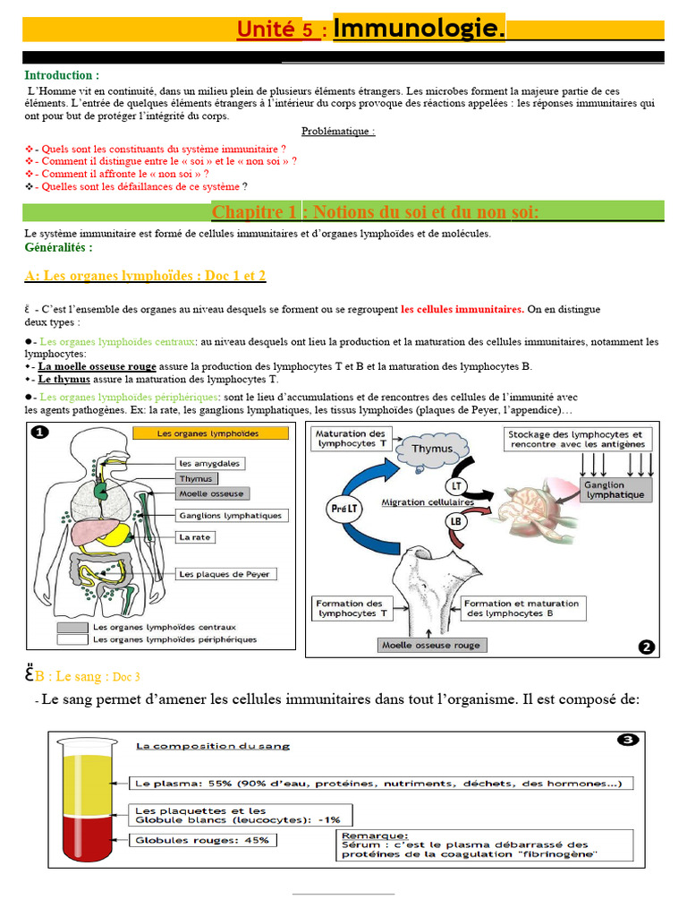 Comprendre le Système Immunitaire | PDF | Complexe majeur d ...