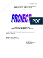 Proiect FERARU