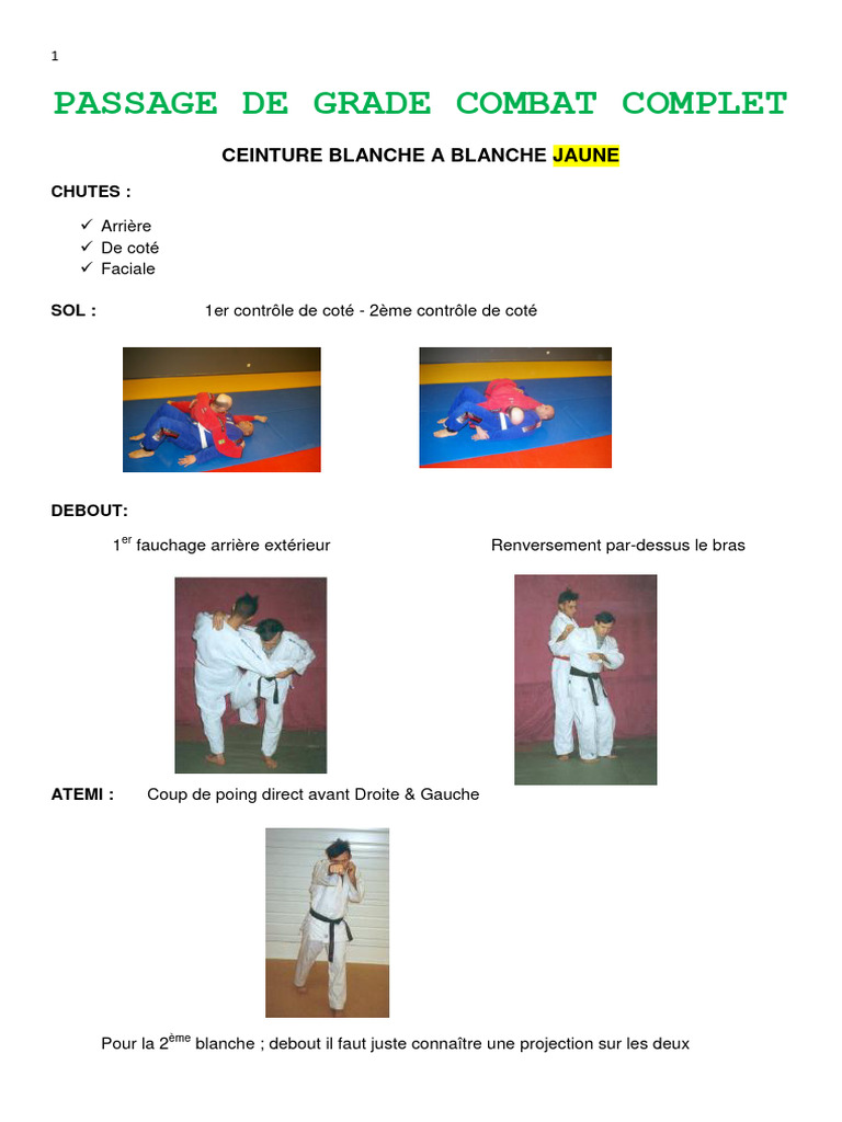 Passage de Grade Combat Complet | PDF