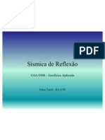 Sísmica de Reflexão GSA308 2011