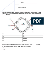 Year 1 Science Test The Eyes 2024 Regular