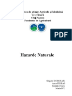 Hazarde Naturale