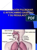 Ventilación Pulmonar