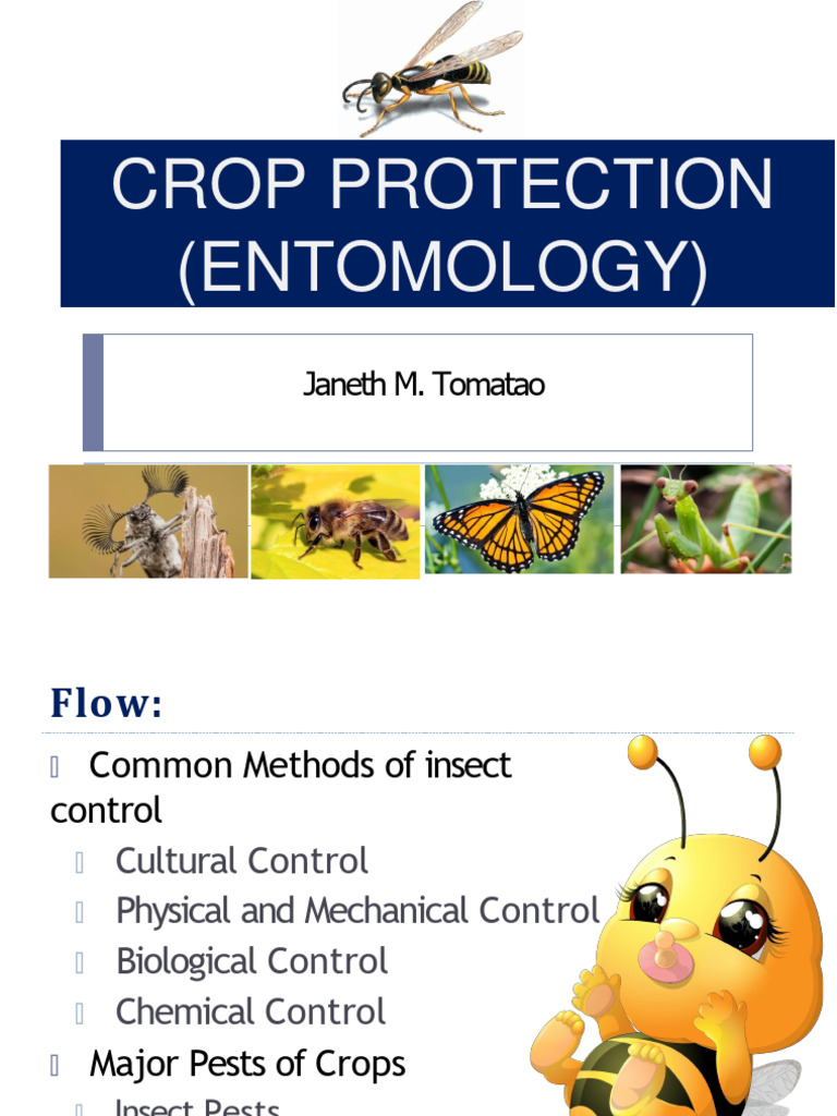 Crop Protection Ii | PDF | Biological Pest Control | Insecticide