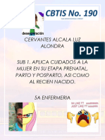 PORTAFOLIO- Sistema Productivo Msculino y Femenino PDF