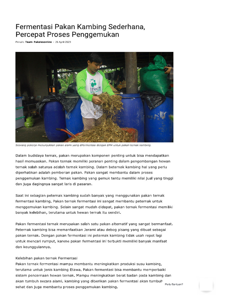 Fermentasi Pakan Kambing Sederhana, Per...t Proses Penggemukan - Pak