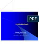 Leishmaniosis Final