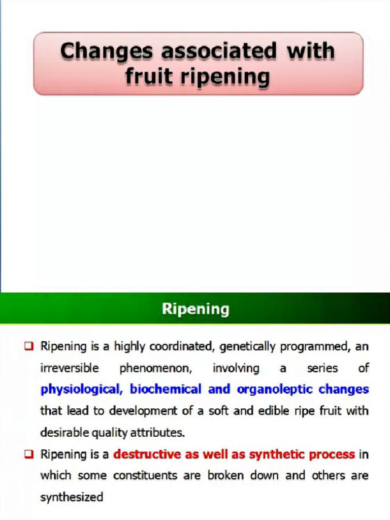 Ripening Changes | PDF