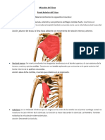 Manual de Anatomia