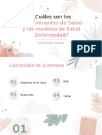 c2 - Procesos Salud Enfermedad y Determinantes