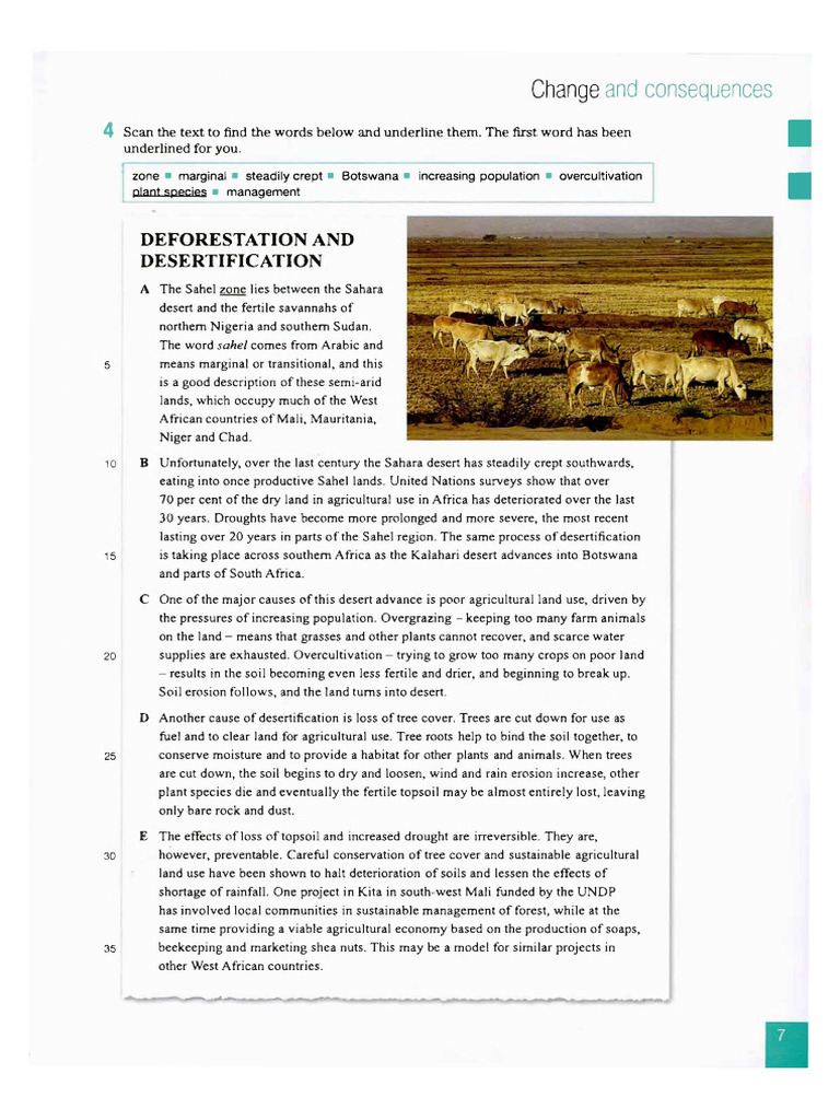 HW - Deforestration & Desertification | PDF