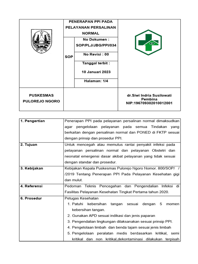 Penerapan PPI di Pelayanan Persalinan | PDF