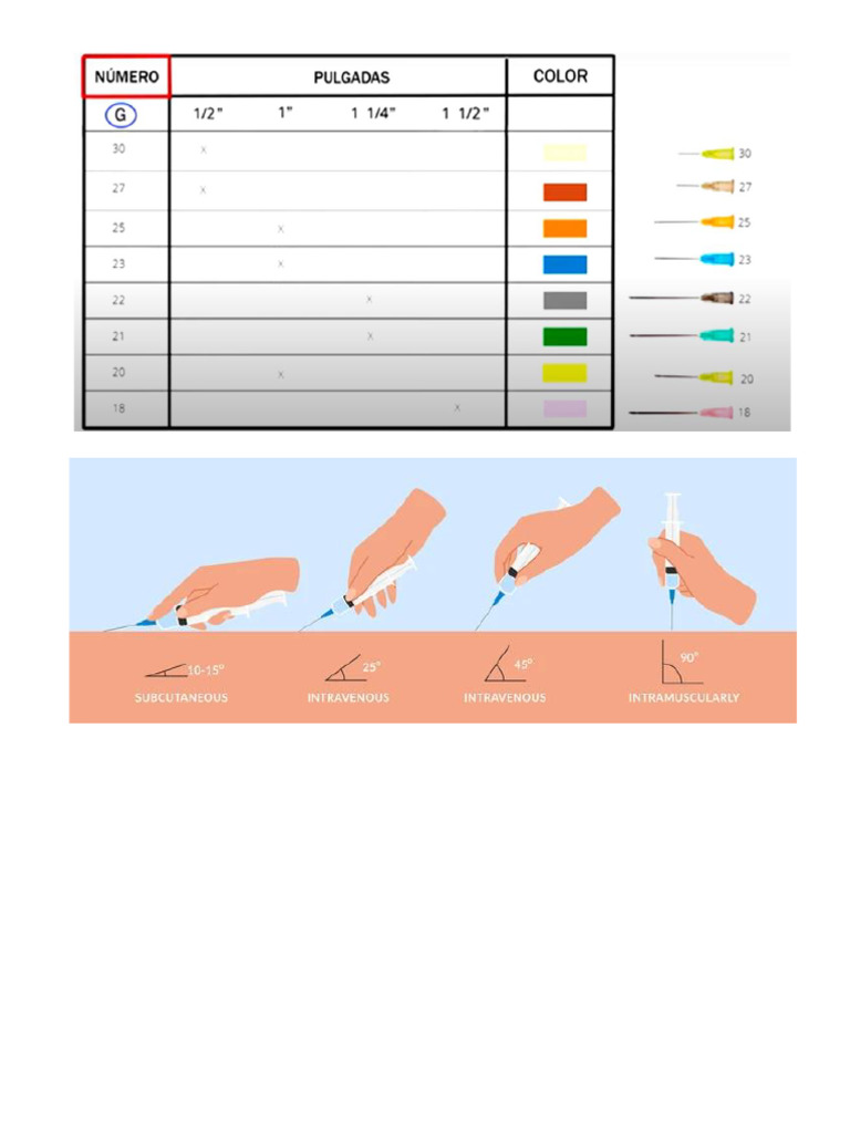 67 | PDF