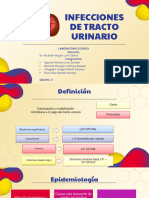 Diapositivas-Infecciones Del Tracto Urinario-Grupo A1