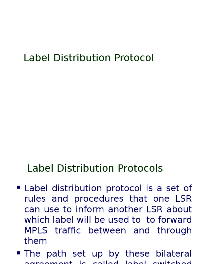 w4 01 LDP | PDF