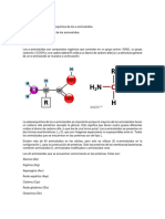 Concepto y Clasificación de Aminoacidos (Proteinas)