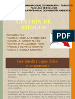 Gestion de Riesgos Expo