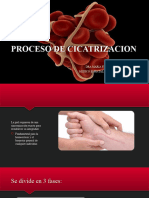 Proceso de Cicatrizacion