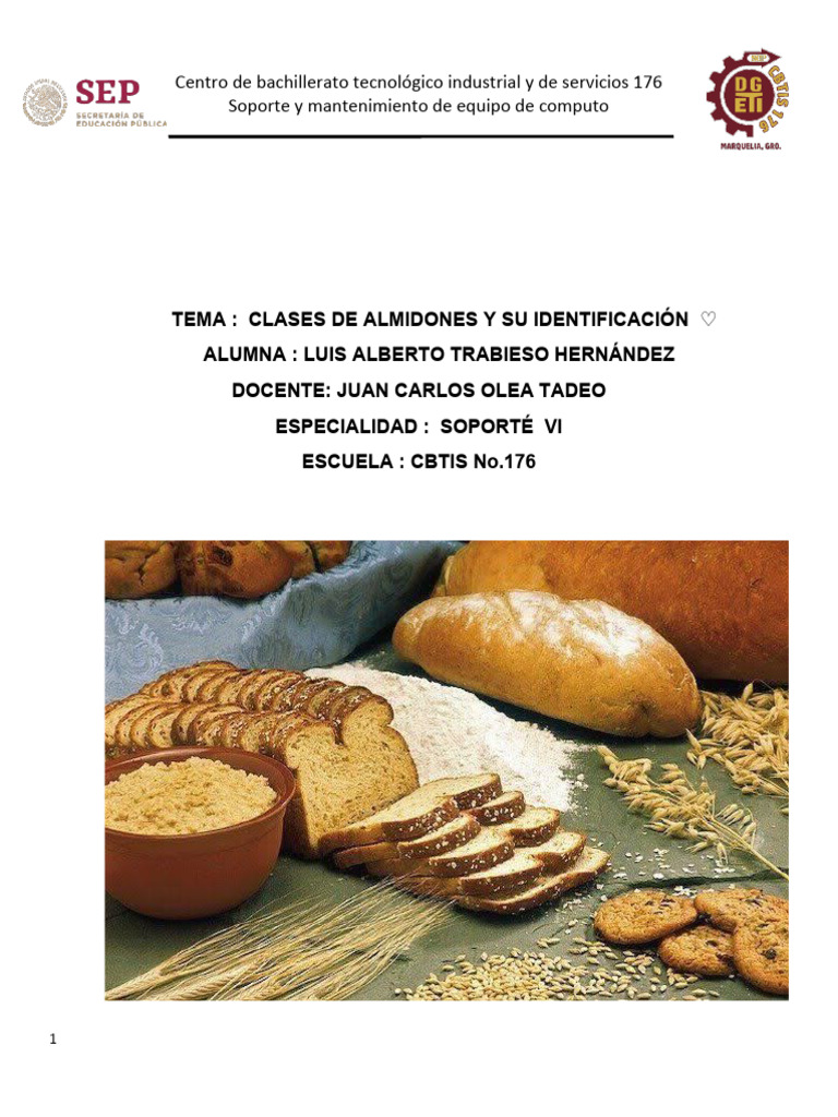Identificación de Almidones en Alimentos | PDF | Almidón | Alimentos