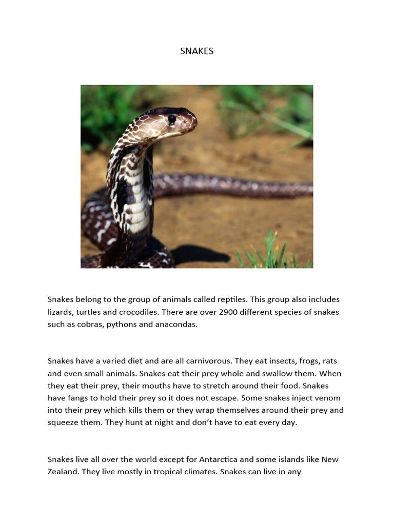 Snakes ESOL Reading Resoruce | PDF | Snake | Venom