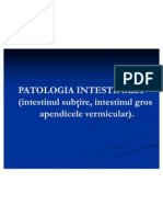 patologia intestinala
