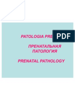 Patologia prenatala