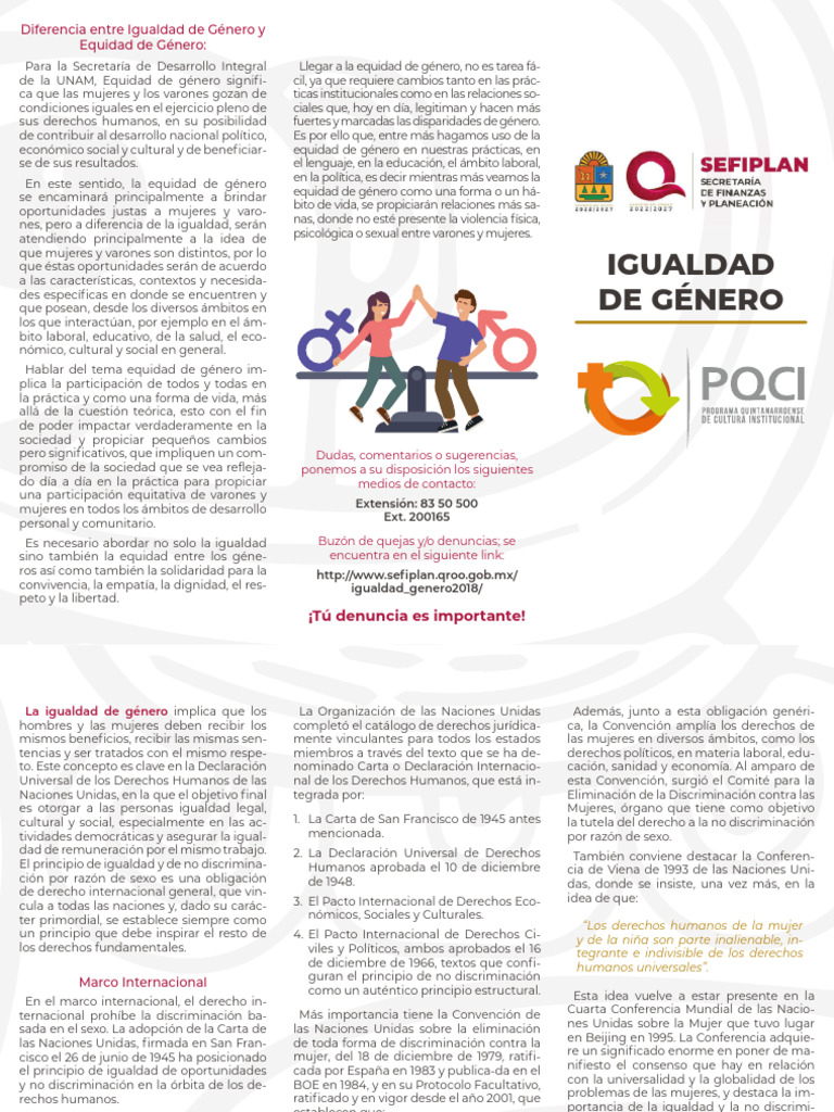 Igualdad y Equidad de Género: Claves | PDF | Igualdad de género ...