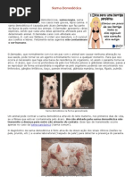 Sarna demodécica ou sarna negra