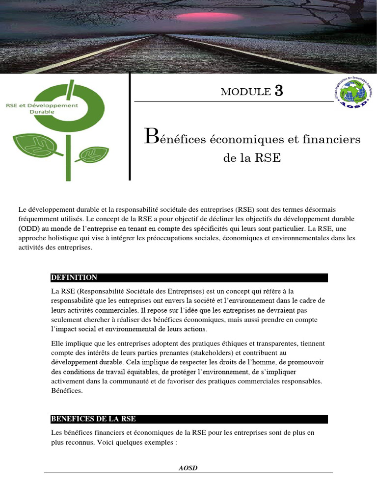 Bénéfices économiques de la RSE | PDF | Responsabilité sociétale des ...