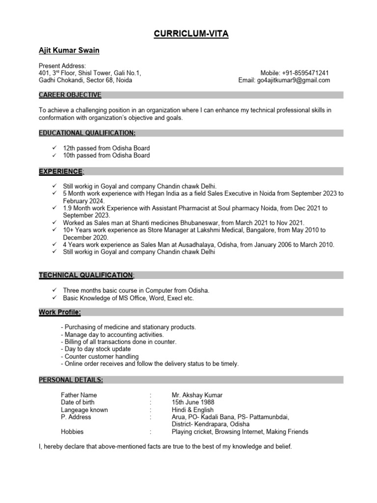 Ajit's Professional Journey | PDF