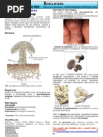 Bio Resumos Fungi