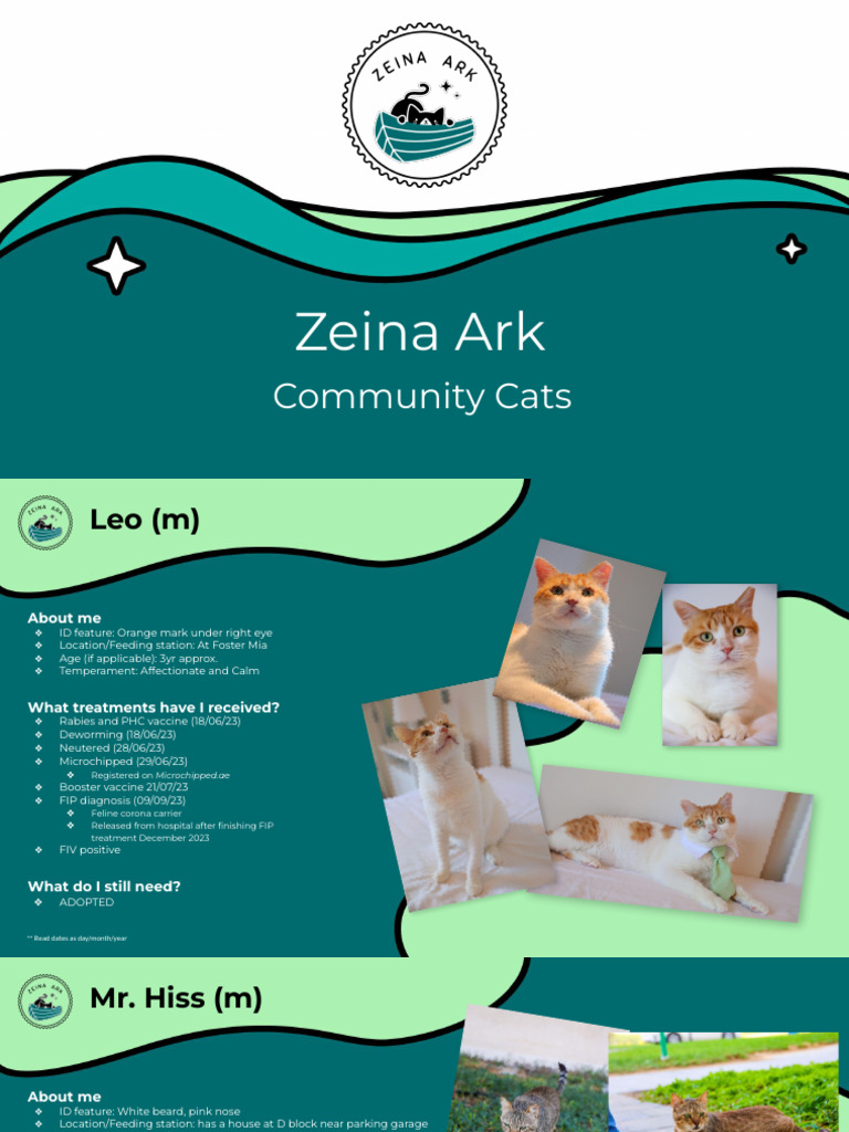 Zeina Ark Cat Identity Kit | PDF | Animals And Humans | Medical Specialties