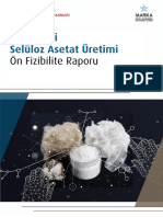 seluloz-asetat-uretim-on-fizibilite-raporu-2020
