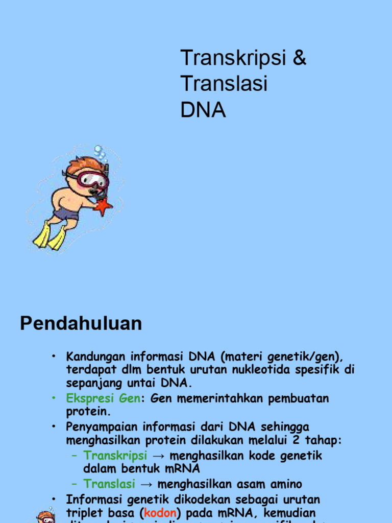 Proses Transkripsi dan Translasi DNA | PDF
