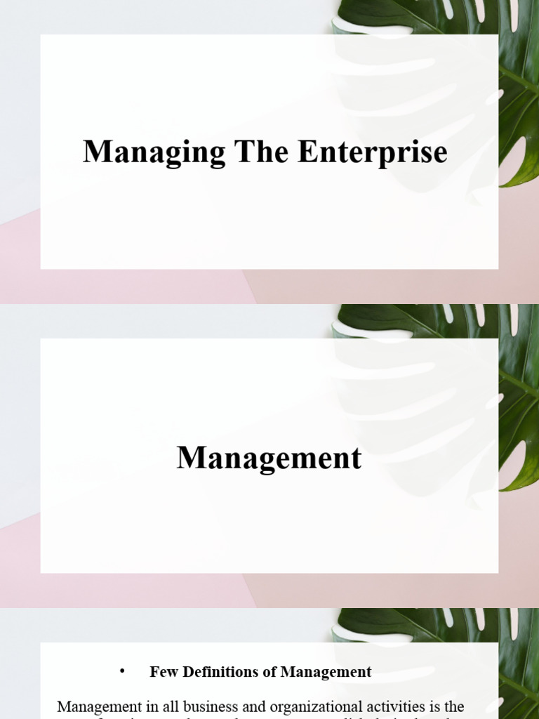 Understanding Enterprise Management Basics | PDF