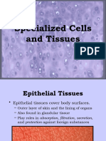 Specializedcells