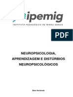 Neuropsicologia, Aprendizagem e Disturbios Neuropsicologicos