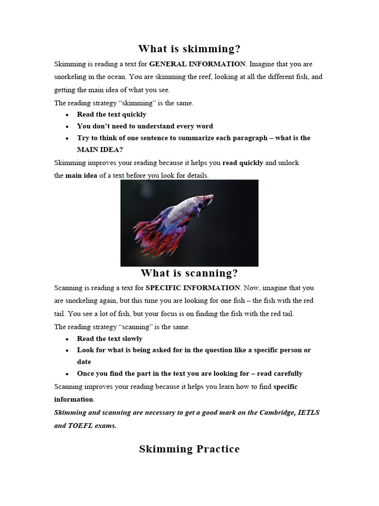 Skimming vs. Scanning Reading Strategies | PDF | Speed Reading