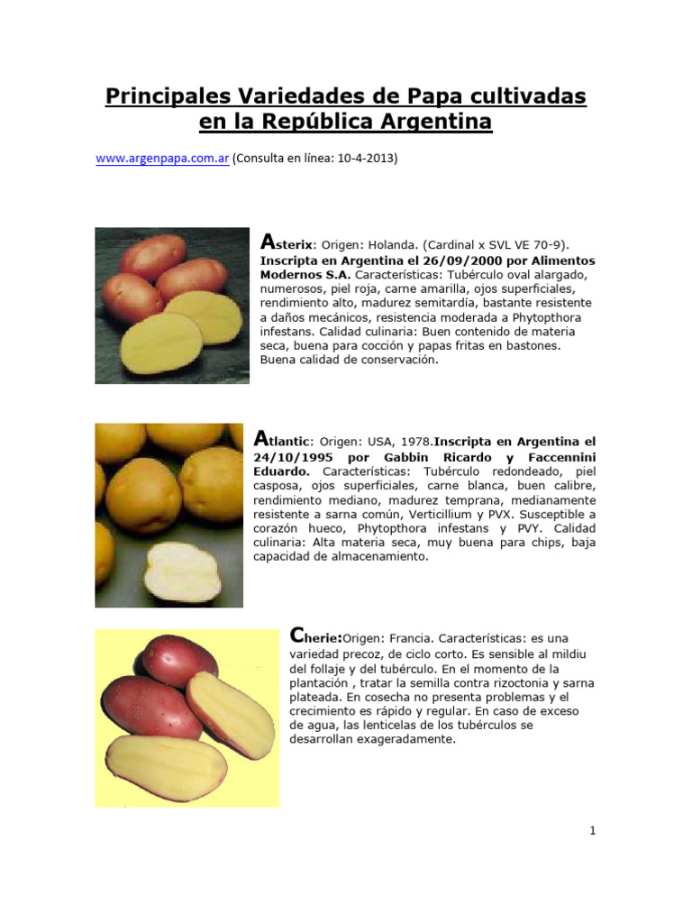 Variedades de Papa en Argentina | PDF | Patata | Botánica