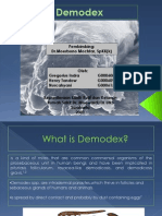 demodex