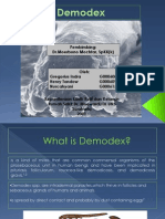 Demodex