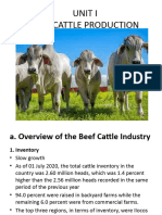 UNIT I BEEF CATTLE PRODUCTION