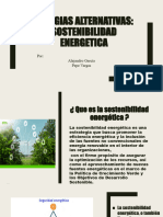 SOSTENIBILIDAD ENERGETICA