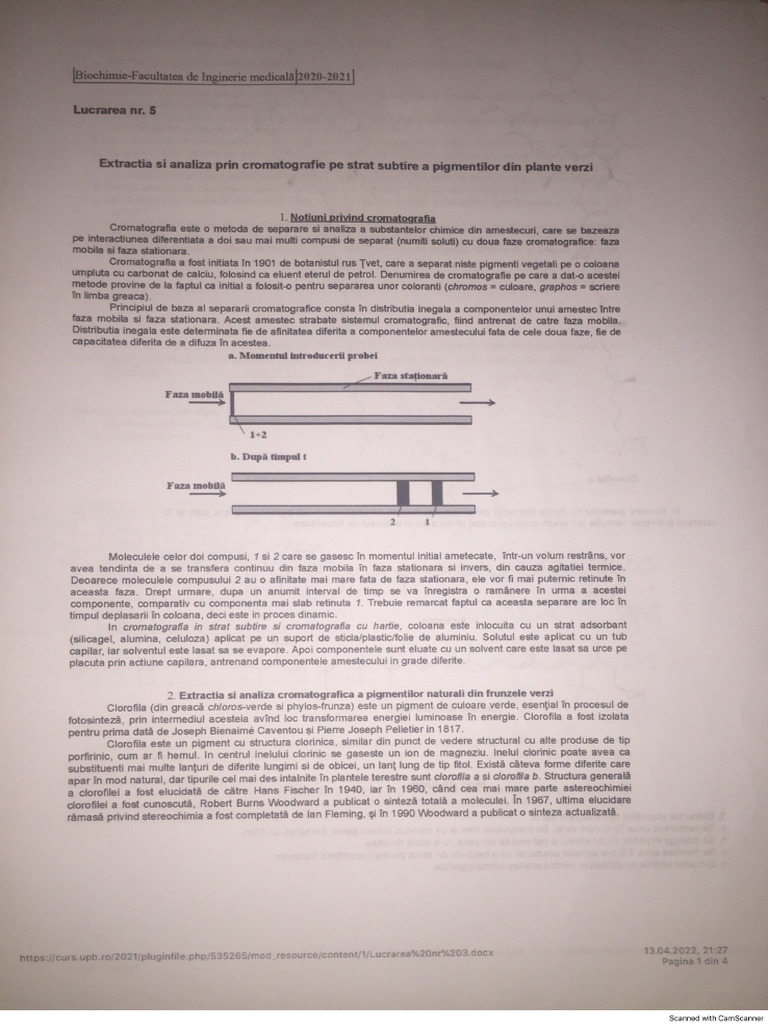 Pîrîțu Daniela Ana Ioana 1416 Lab3ch | PDF